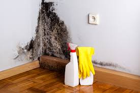 Reliable Caldwell, TX Mold Prevention & Removal  Solutions